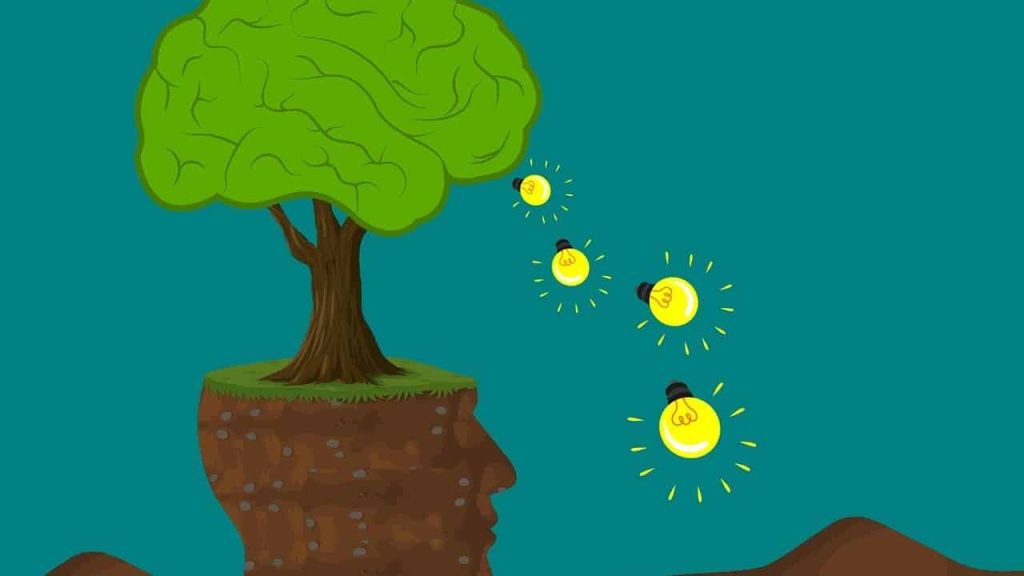 Why is My Food Stamps Not On My Card?